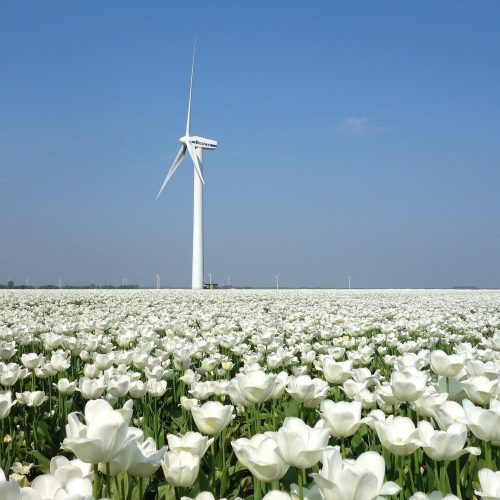 Energieregio’s passen zoekgebieden zon- en windenergie aan
