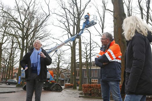 Snoeiwerkzaamheden Brink gestart