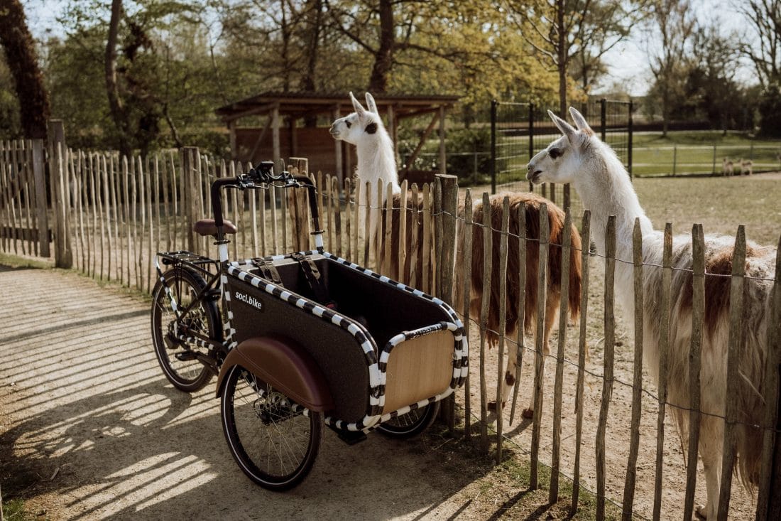 Frank Willems beschildert soci.bike kunstfiets