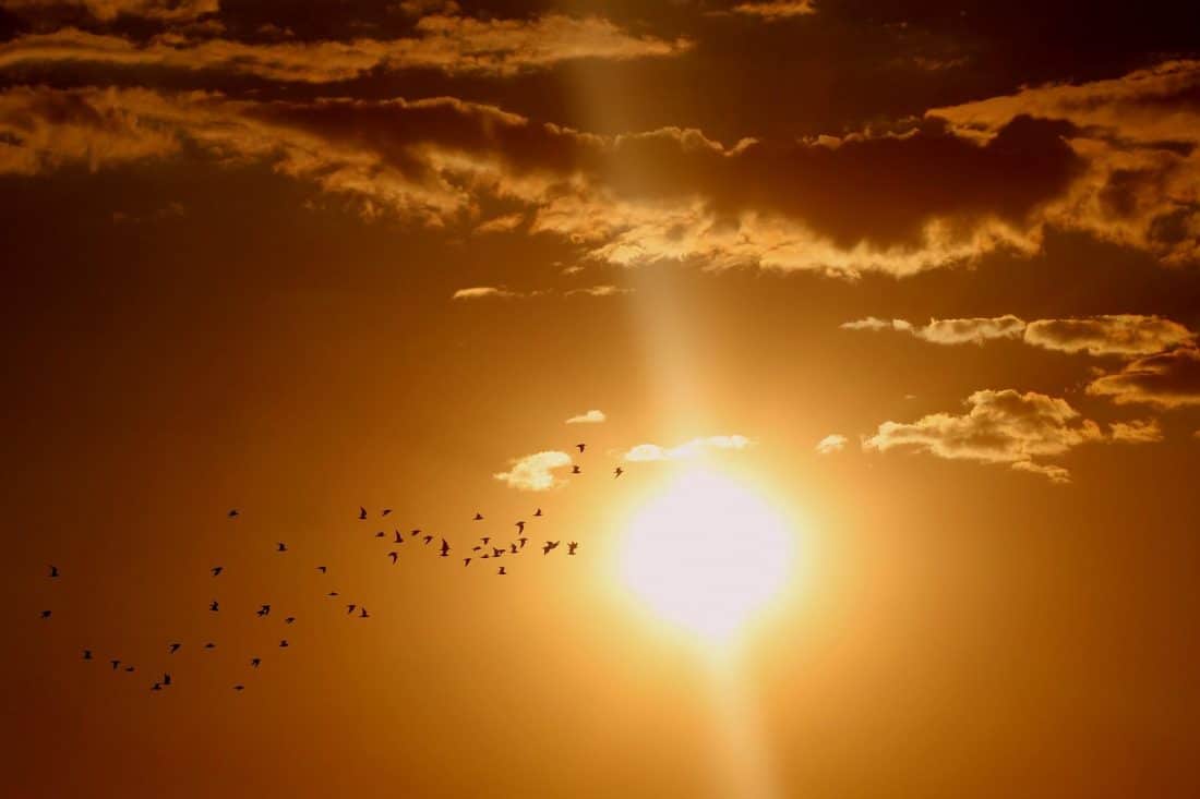 Zonne-energie maakt grote stap voorwaarts