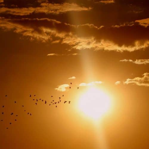 Zonne-energie maakt grote stap voorwaarts