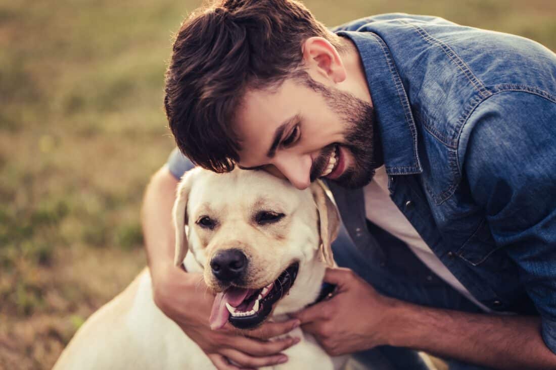 Ban op geïmporteerde honden bij Puppyplaats