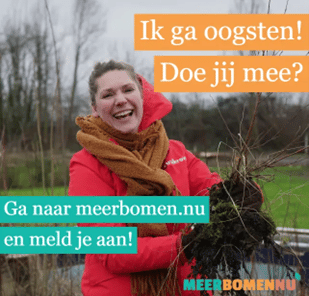 Meer Bomen Nu oogst eerste boom in Recreatiegebied Geestmerambacht