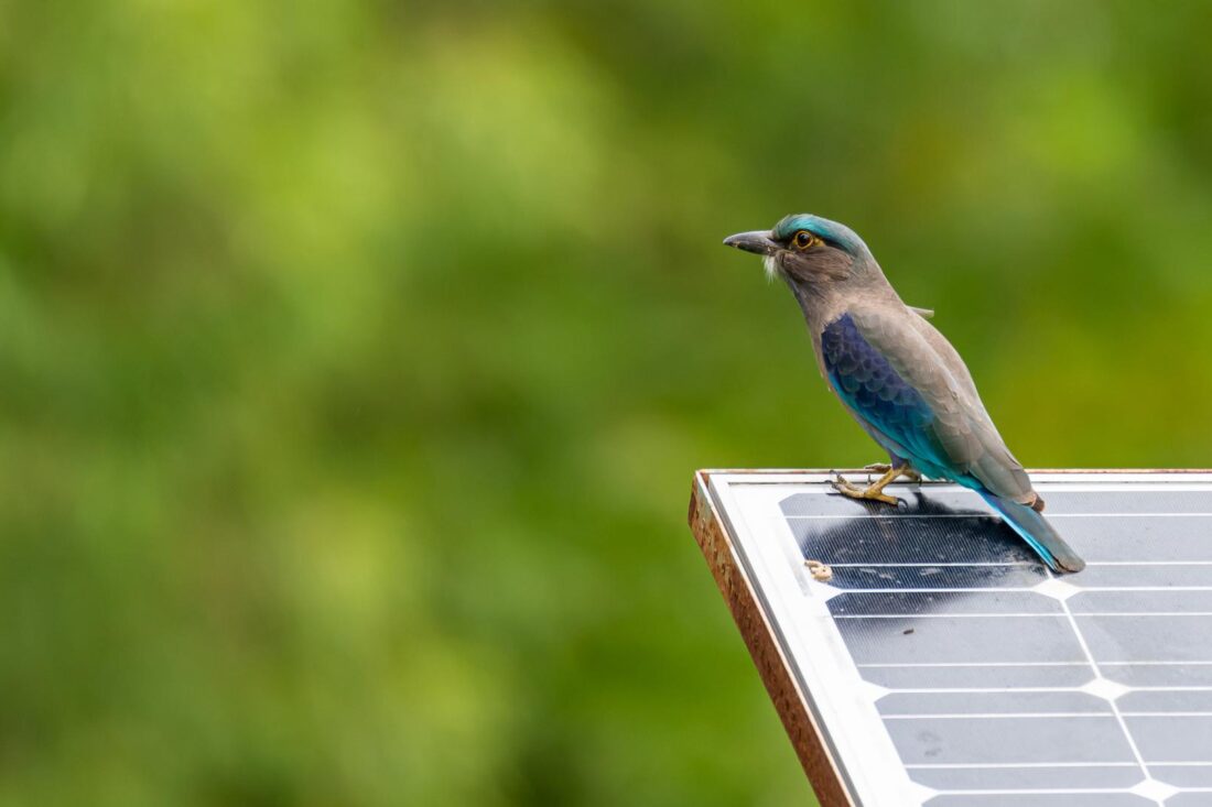 DuurzaamInvesteerders steken 69 miljoen euro in duurzame transitie via platform DuurzaamInvesteren.nl 