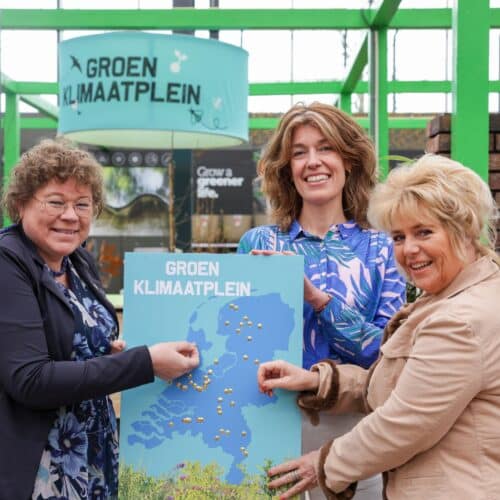 Slim vergroenen tuin makkelijker door Groen Klimaatplein Intratuin