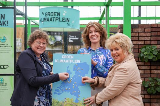 Slim vergroenen tuin makkelijker door Groen Klimaatplein Intratuin