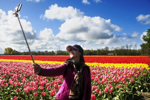 Bloeiseizoen Bollenstreek officieel geopend