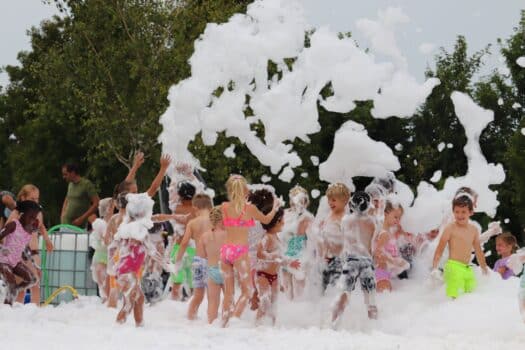 Editie 2.0 van het Swaanzinnig Familie Festival is in aantocht
