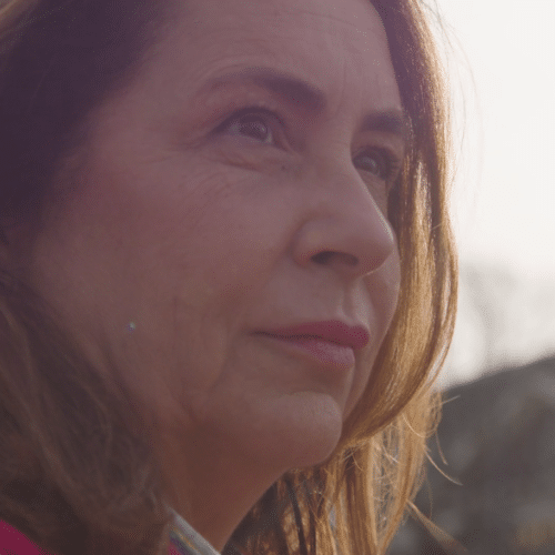 Film over FibreSecurity uit Haarlem