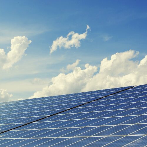 Aantal zonne-energiebedrijven door het dak: stijging van 19%