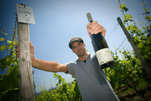 Het ONWINE Oogstfeest van 2025