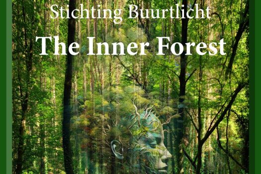 The Inner Forest: kunst, licht en natuur verbinden buurtbewoners in het Westerpark